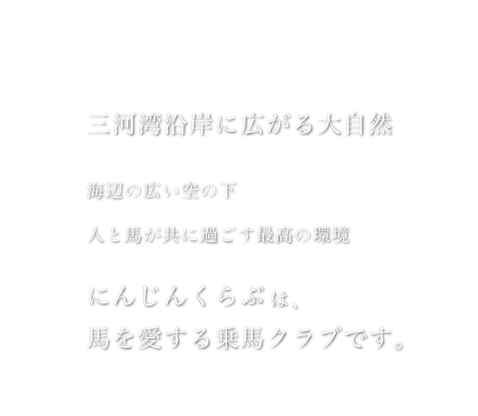 にんじんくらぶは馬を愛する乗馬クラブです。