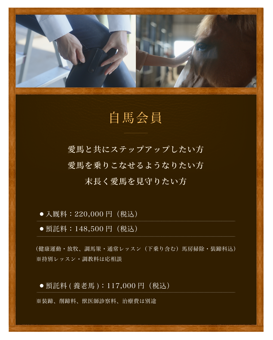 自馬会員
