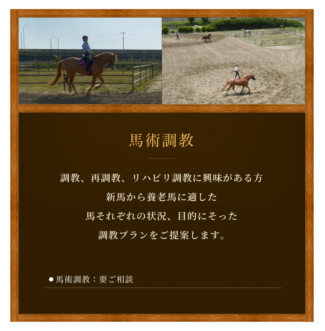 馬術調教